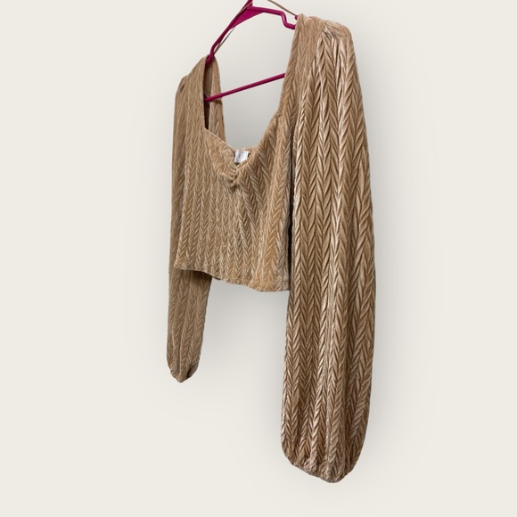 Sage the Label Crop - Picture 8 of 15